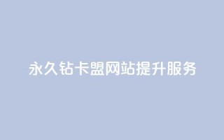 永久钻卡盟网站提升服务
