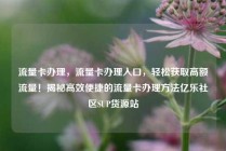 流量卡办理,流量卡办理入口,轻松获取高额流量!揭秘高效便捷的流量卡办理方法亿乐社区SUP货源站