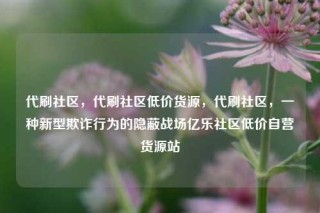 代刷社区,代刷社区低价货源,代刷社区,一种新型欺诈行为的隐蔽战场亿乐社区低价自营货源站