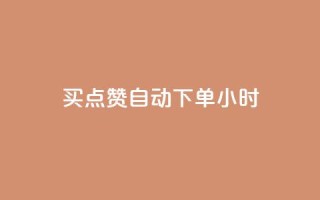 买点赞 自动下单 24小时 - 有效提升文章曝光,24小时即刻获取赞助——赞助购买服务更新指南~