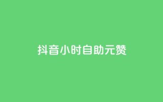 抖音24小时自助30元1000赞 - 抖音30元1000赞自动送达24小时!