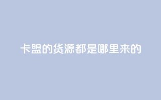 卡盟的货源都是哪里来的 - 卡盟货源获取渠道揭秘!