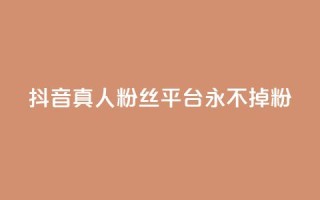 抖音真人粉丝平台 永不掉粉 - 增加社交影响力,稳定粉丝数量营销平台~