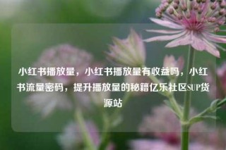 小红书播放量,小红书播放量有收益吗,小红书流量密码,提升播放量的秘籍亿乐社区SUP货源站