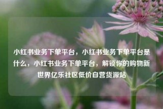 小红书业务下单平台,小红书业务下单平台是什么,小红书业务下单平台,解锁你的购物新世界亿乐社区低价自营货源站