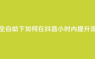 抖音24小时全自助下 - 如何在抖音24小时内提升流量?!