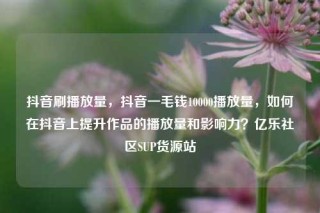 抖音刷播放量,抖音一毛钱10000播放量,如何在抖音上提升作品的播放量和影响力?亿乐社区SUP货源站