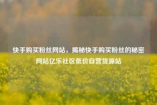 快手购买粉丝网站,揭秘快手购买粉丝的秘密网站亿乐社区低价自营货源站