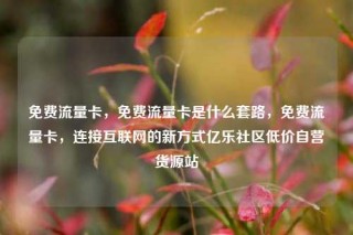 免费流量卡,免费流量卡是什么套路,免费流量卡,连接互联网的新方式亿乐社区低价自营货源站