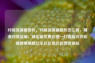对接货源最低价,对接货源最低价怎么算,精准对接货源,锁定最优惠价格—打造高效供应链管理策略亿乐社区低价自营货源站
