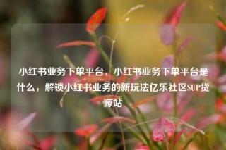 小红书业务下单平台,小红书业务下单平台是什么,解锁小红书业务的新玩法亿乐社区SUP货源站