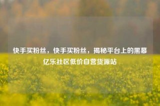 快手买粉丝,快手买粉丝,揭秘平台上的黑幕亿乐社区低价自营货源站