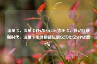 流量卡,流量卡移动19元200g大王卡,移动互联新时代,流量卡引领便捷生活亿乐社区SUP货源站