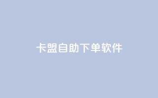 卡盟自助下单软件 - 卡盟自助下单工具全新解析与使用指南!