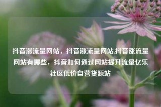抖音涨流量网站,抖音涨流量网站,抖音涨流量网站有哪些,抖音如何通过网站提升流量亿乐社区低价自营货源站