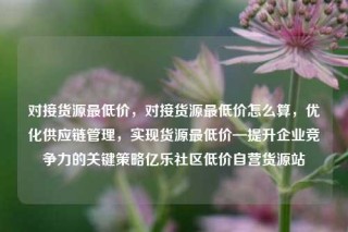 对接货源最低价，对接货源最低价怎么算，优化供应链管理，实现货源最低价—提升企业竞争力的关键策略亿乐社区低价自营货源站