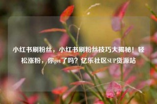 小红书刷粉丝,小红书刷粉丝技巧大揭秘!轻松涨粉,你get了吗?亿乐社区SUP货源站
