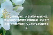 抖音点赞充值链接,抖音点赞充值链接50赞,揭秘抖音热门商品的隐藏赚钱秘密—如何通过点赞+充值快速获利?亿乐社区低价自营货源站