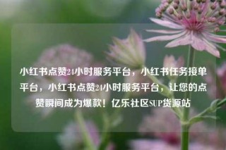 小红书点赞24小时服务平台,小红书任务接单平台,小红书点赞24小时服务平台,让您的点赞瞬间成为爆款!亿乐社区SUP货源站