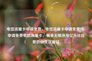 电信流量卡申请免费,电信流量卡申请免费吗,申请免费电信流量卡,畅享无限连接亿乐社区低价自营货源站