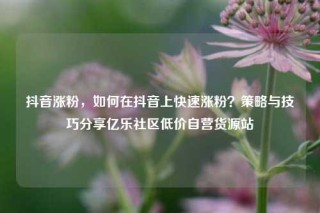 抖音涨粉,如何在抖音上快速涨粉?策略与技巧分享亿乐社区低价自营货源站