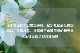 亿乐社区低价自营货源站,亿乐社区最低价货源站,亿乐社区,探索低价自营货源的新天地亿乐社区低价自营货源站