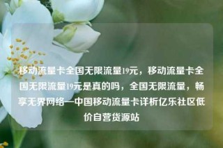 移动流量卡全国无限流量19元,移动流量卡全国无限流量19元是真的吗,全国无限流量,畅享无界网络—中国移动流量卡详析亿乐社区低价自营货源站