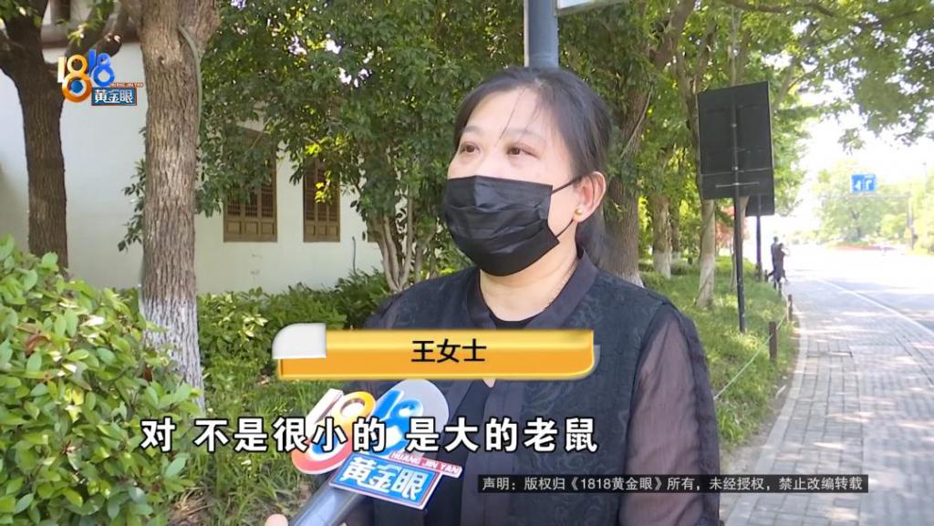 吃完饭一出包厢被大老鼠吓坏了，当事人：退一赔十  第1张