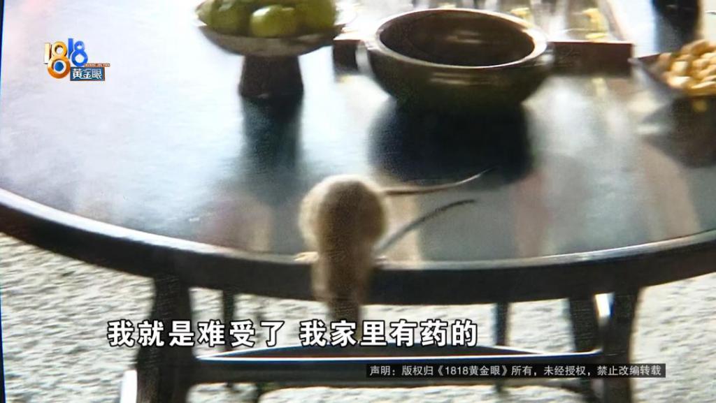 吃完饭一出包厢被大老鼠吓坏了，当事人：退一赔十  第5张