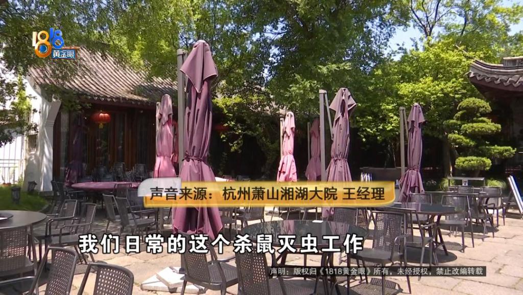 吃完饭一出包厢被大老鼠吓坏了	，当事人：退一赔十  第8张