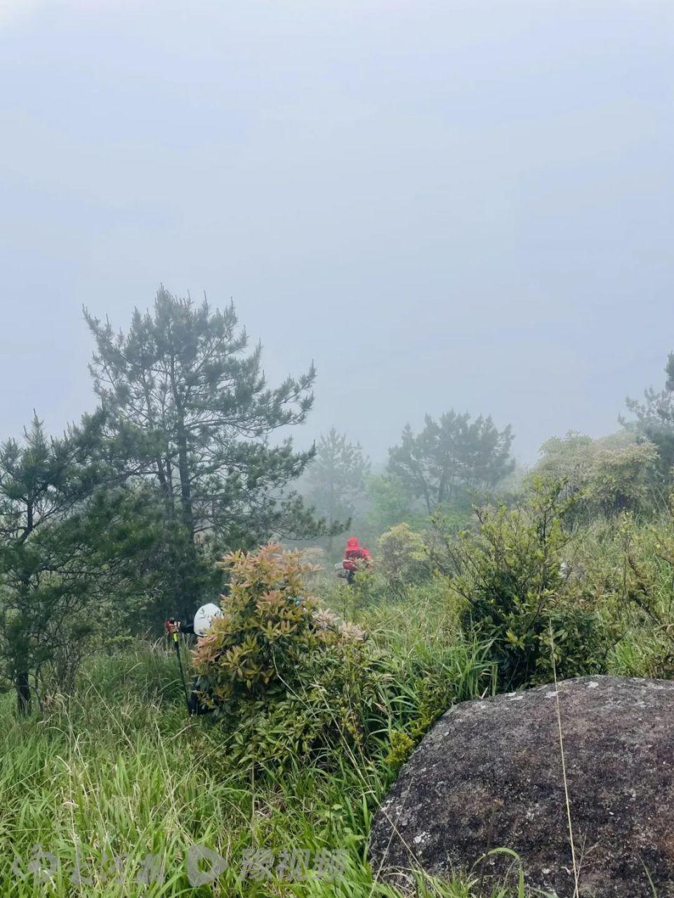 8岁男童登山失联12天	，搜救仍在继续，专业人士：是否终止救援主要看两点  第2张