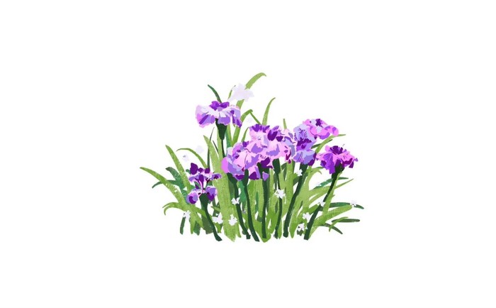 花开之处，便是故地  第3张
