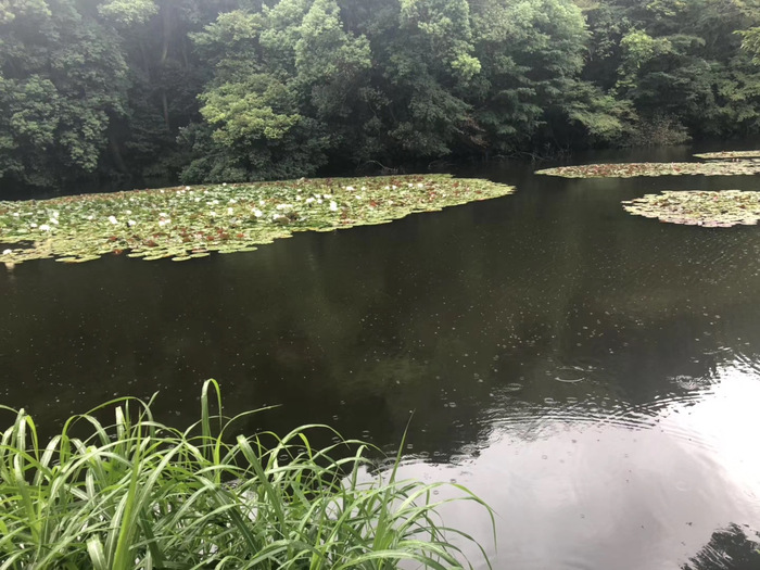 花开之处	，便是故地  第8张
