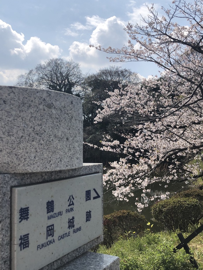 花开之处	，便是故地  第16张