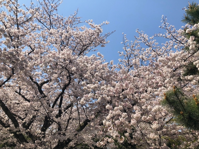 花开之处	，便是故地  第20张