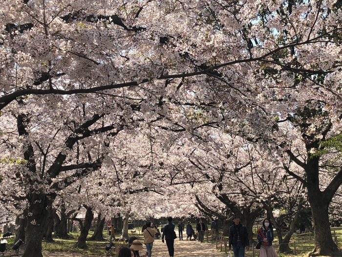 花开之处	，便是故地  第21张