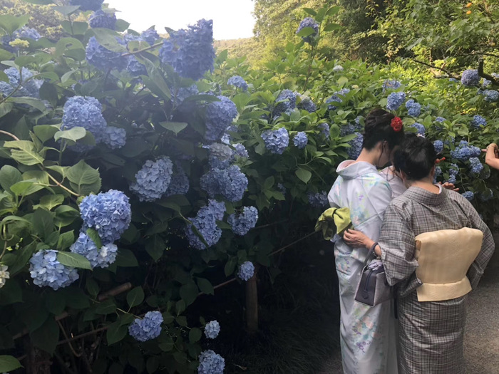 花开之处，便是故地  第26张