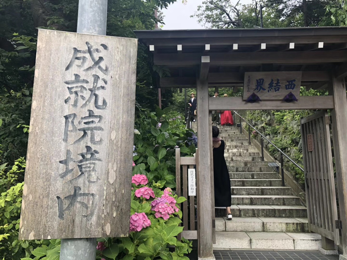 花开之处，便是故地  第32张