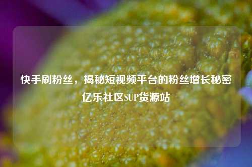 快手刷粉丝，揭秘短视频平台的粉丝增长秘密亿乐社区SUP货源站  第1张