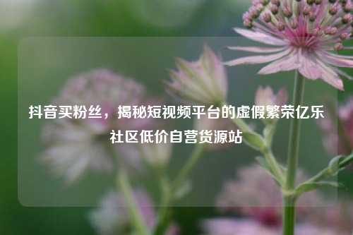 抖音买粉丝，揭秘短视频平台的虚假繁荣亿乐社区低价自营货源站  第1张