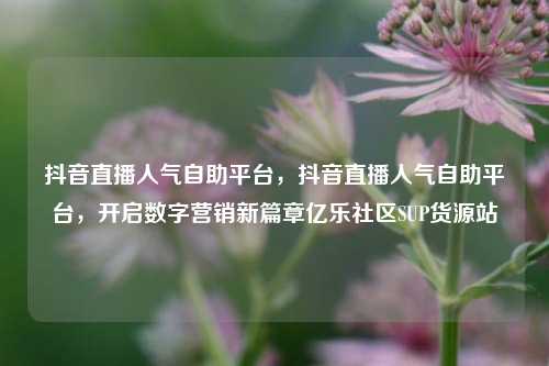 抖音直播人气自助平台，抖音直播人气自助平台，开启数字营销新篇章亿乐社区SUP货源站  第1张