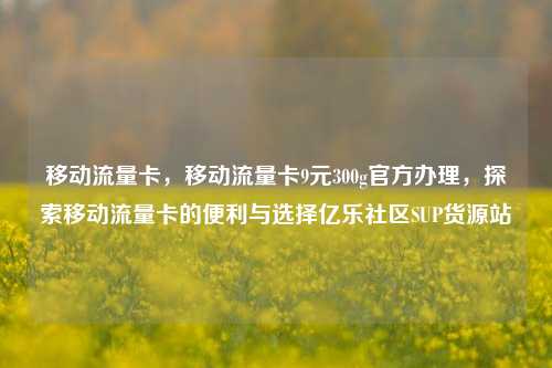 移动流量卡	，移动流量卡9元300g官方办理，探索移动流量卡的便利与选择亿乐社区SUP货源站  第1张