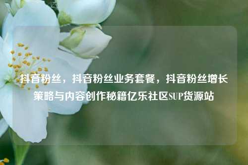 抖音粉丝，抖音粉丝业务套餐	，抖音粉丝增长策略与内容创作秘籍亿乐社区SUP货源站  第1张