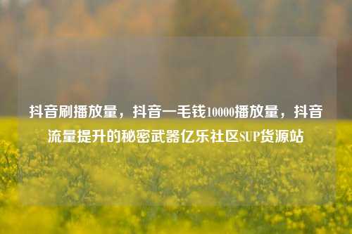 抖音刷播放量，抖音一毛钱10000播放量，抖音流量提升的秘密武器亿乐社区SUP货源站  第1张