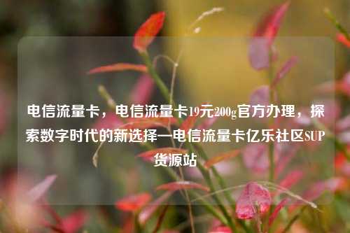 电信流量卡，电信流量卡19元200g官方办理，探索数字时代的新选择—电信流量卡亿乐社区SUP货源站  第1张