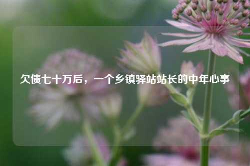 欠债七十万后	，一个乡镇驿站站长的中年心事  第1张