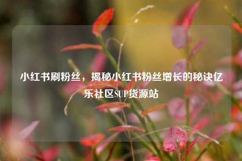 小红书刷粉丝，揭秘小红书粉丝增长的秘诀亿乐社区SUP货源站  第1张