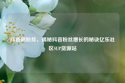 抖音刷粉丝，揭秘抖音粉丝增长的秘诀亿乐社区SUP货源站  第1张