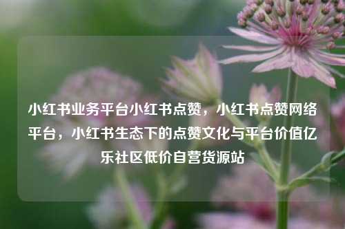 小红书业务平台小红书点赞	，小红书点赞网络平台，小红书生态下的点赞文化与平台价值亿乐社区低价自营货源站  第1张