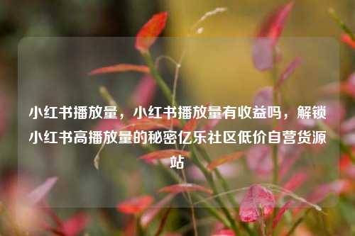 小红书播放量，小红书播放量有收益吗	，解锁小红书高播放量的秘密亿乐社区低价自营货源站  第1张
